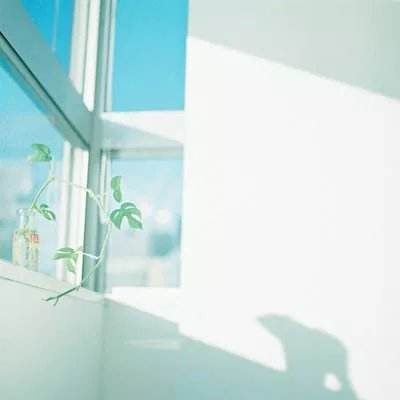 365体育手机版入口